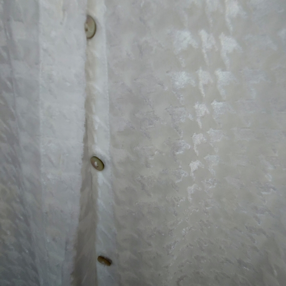 Cream Bone White Button Down Blouse - Picture 4 of 5